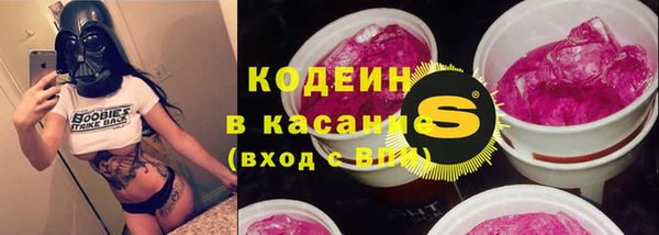 индика Кинешма