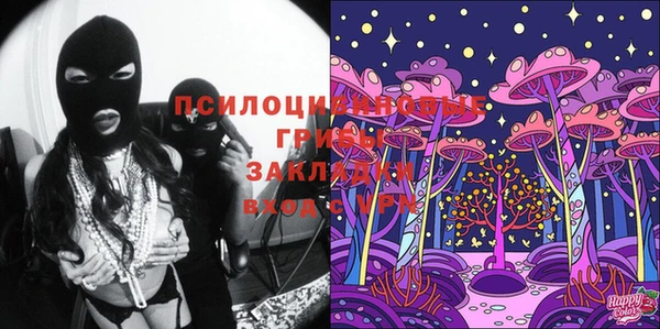 молекула духа Карпинск