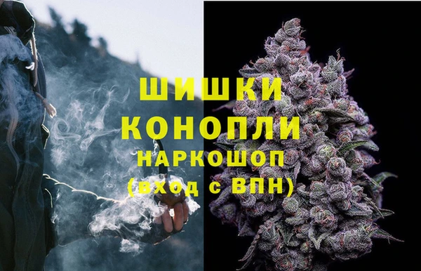 spice Киреевск