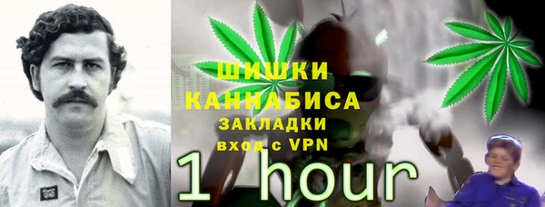сатива Каменка