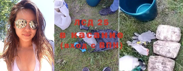молекула духа Карпинск