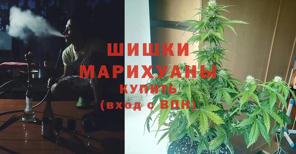 эйфоретик Касимов