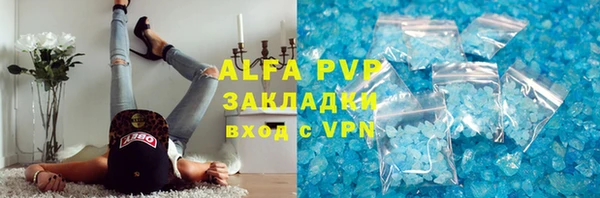 индика Кинешма
