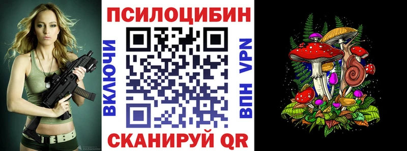 Галлюциногенные грибы мицелий Купить где Дегтярск